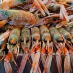 Comment bien choisir ses langoustines