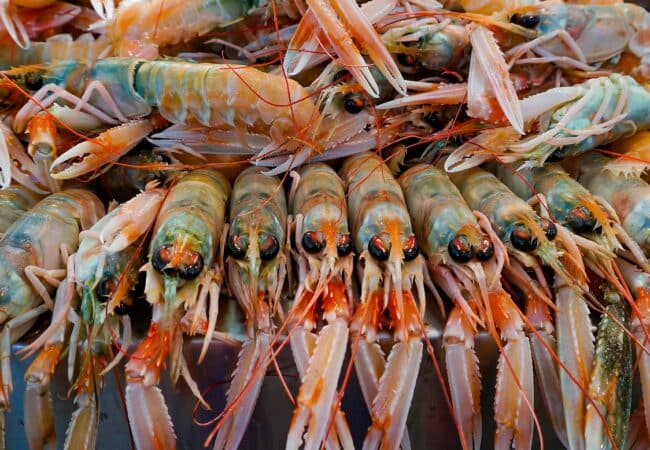 Comment bien choisir ses langoustines ?