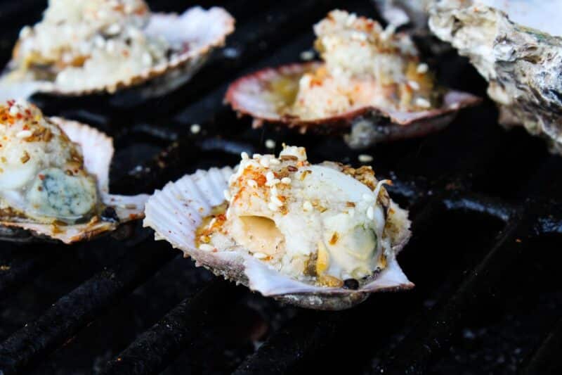 Découvrez une Recette Facile et Élégante de Coquilles Saint-Jacques