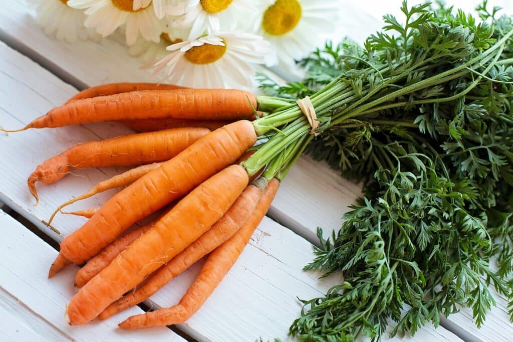 Des carottes bonnes pour la santé des yeux