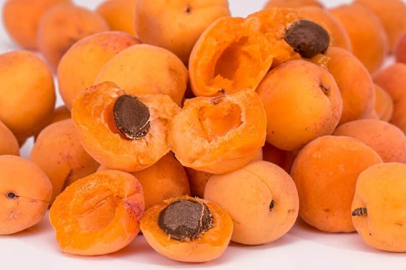 Les bienfaits des abricots pourquoi en manger au quotidien