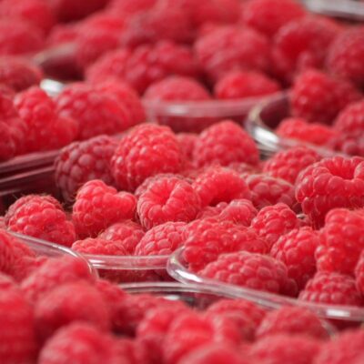 Les bienfaits des framboises : pourquoi en manger régulièrement ?