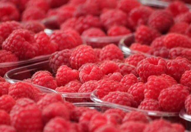 Les bienfaits des framboises : pourquoi en manger régulièrement ?