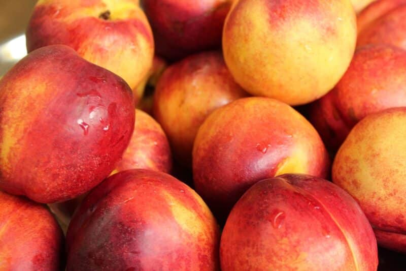 Les bienfaits incroyables des nectarines sur la santé