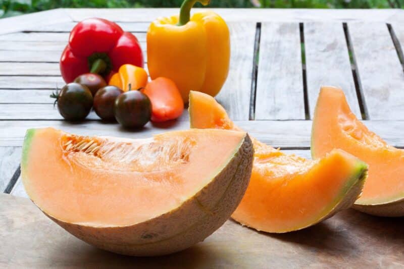 Melon peut on reellement en manger tous les jours en été