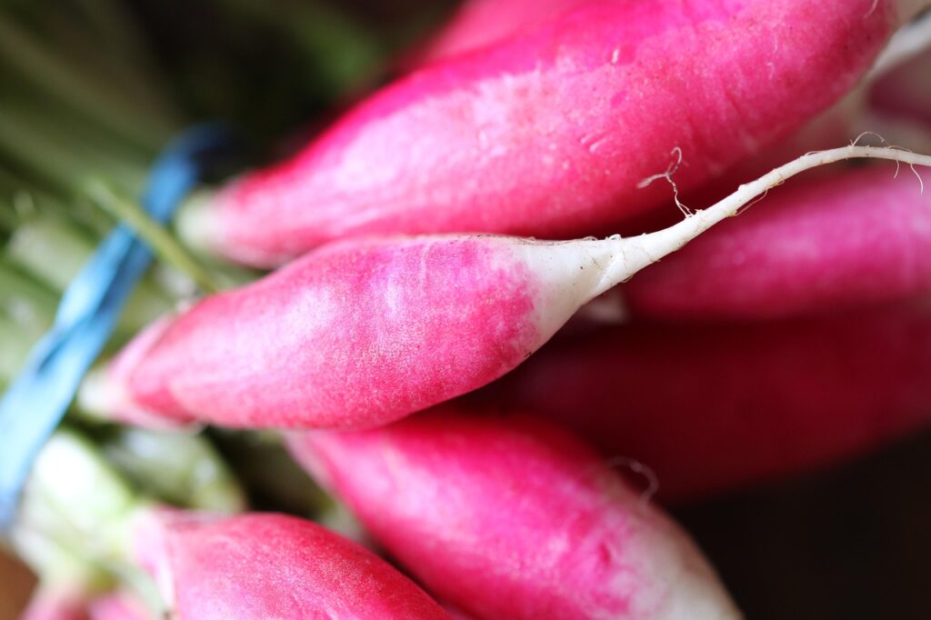 Voici pourquoi vous devriez vraiment manger des radis plus souvent
