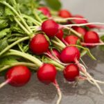 Voici pourquoi vous devriez vraiment manger des radis plus souvent