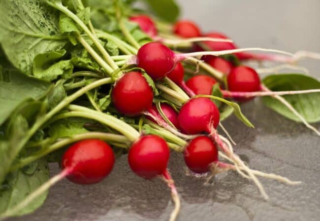 Voici pourquoi vous devriez vraiment manger des radis plus souvent