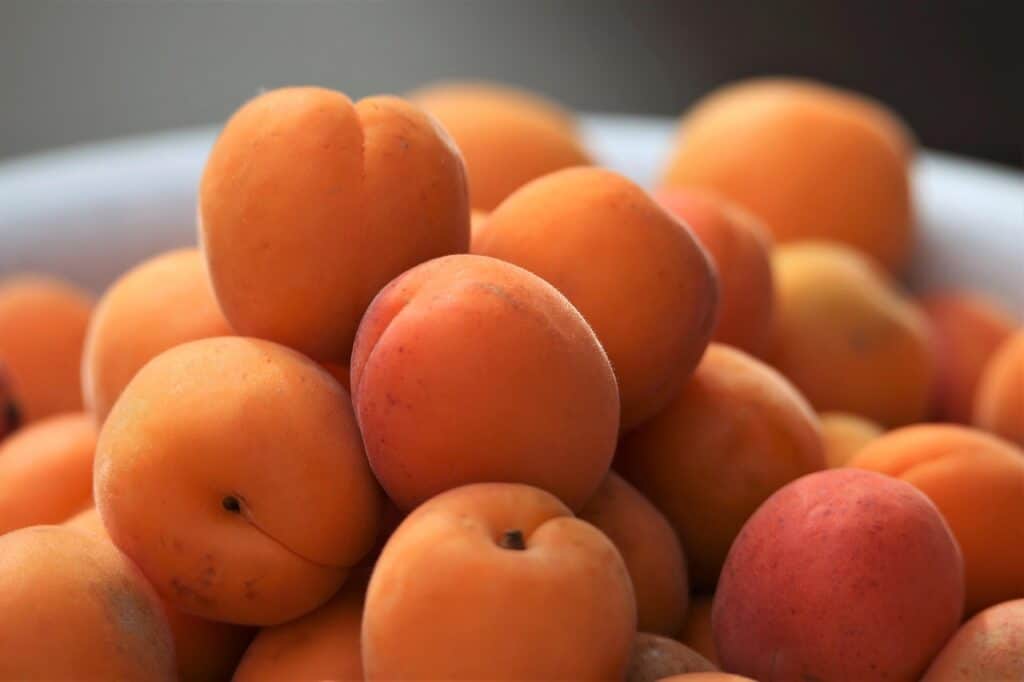 Les bienfaits des abricots pourquoi en manger au quotidien