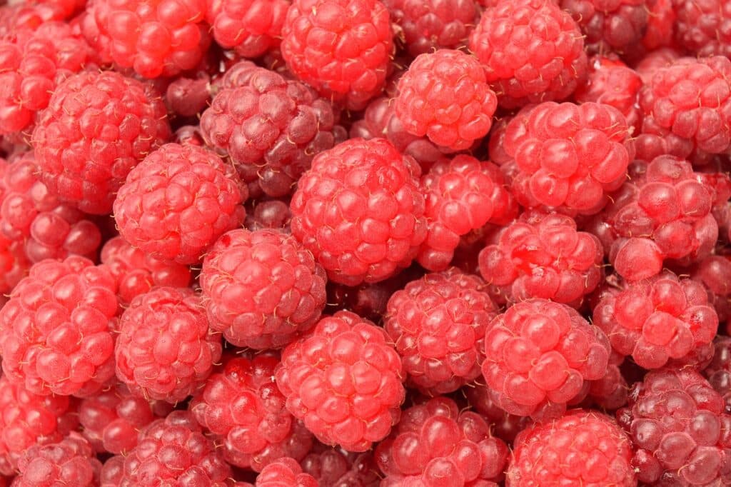 Les bienfaits des framboises : pourquoi en manger régulièrement