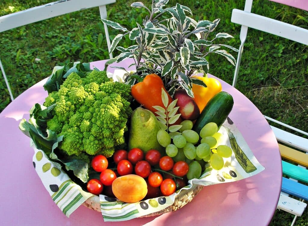 Quels sont les aliments anti-canicule : Voici la liste complète
