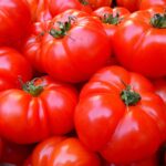 Quelle est la meilleure variété de tomates ? et bien les choisir