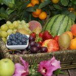 Quels sont les fruits qu'il fuat consommer avec modération en cas de canicule