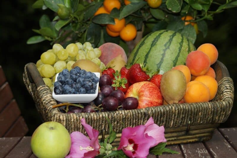Quels sont les fruits qu'il fuat consommer avec modération en cas de canicule