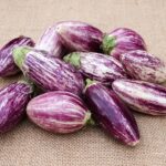 Voici tout ce que vous devez savoir sur les aubergines
