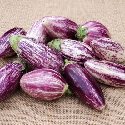 Voici tout ce que vous devez savoir sur les aubergines