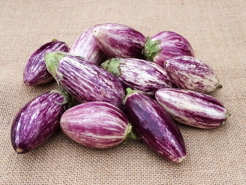 Voici tout ce que vous devez savoir sur les aubergines