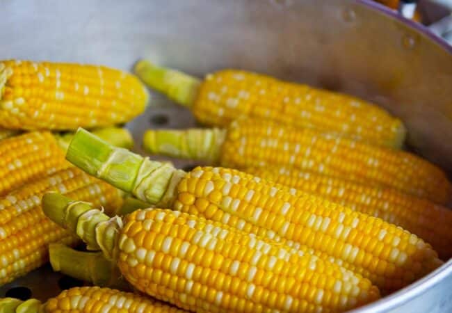 Voici tout ce que vous devez savoir sur le maïs : cuisson, recettes et secrets gourmands