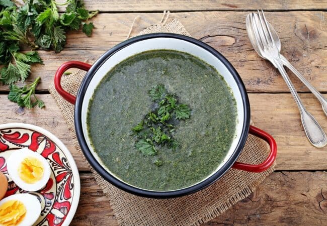 Soupe d’ortie : recette facile, saine et pleine de bienfaits